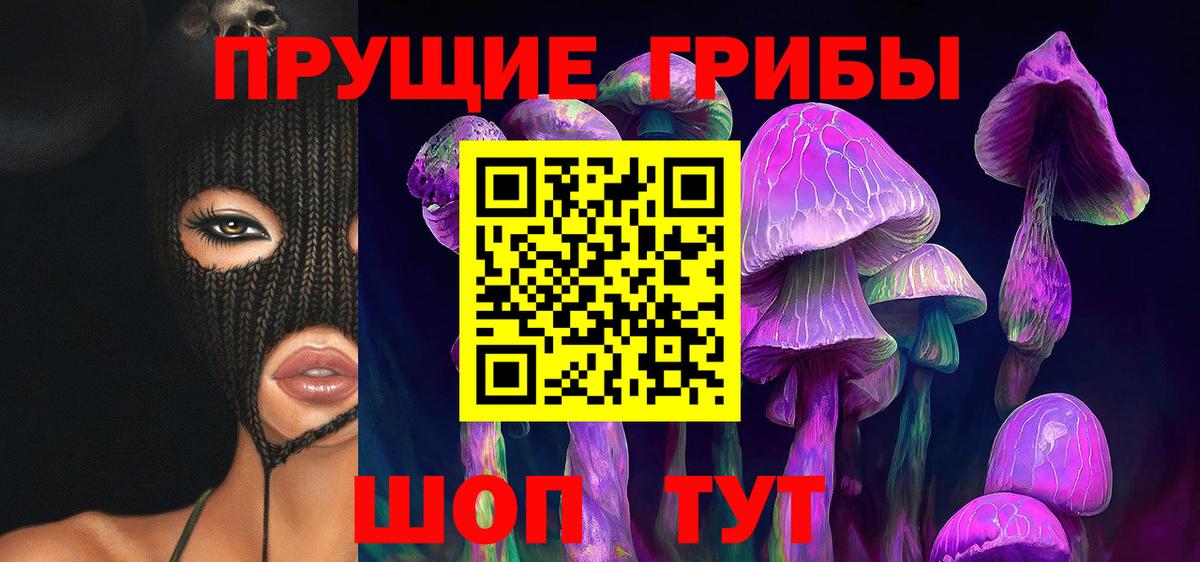 Галлюциногенные грибы Psilocybe Алушта