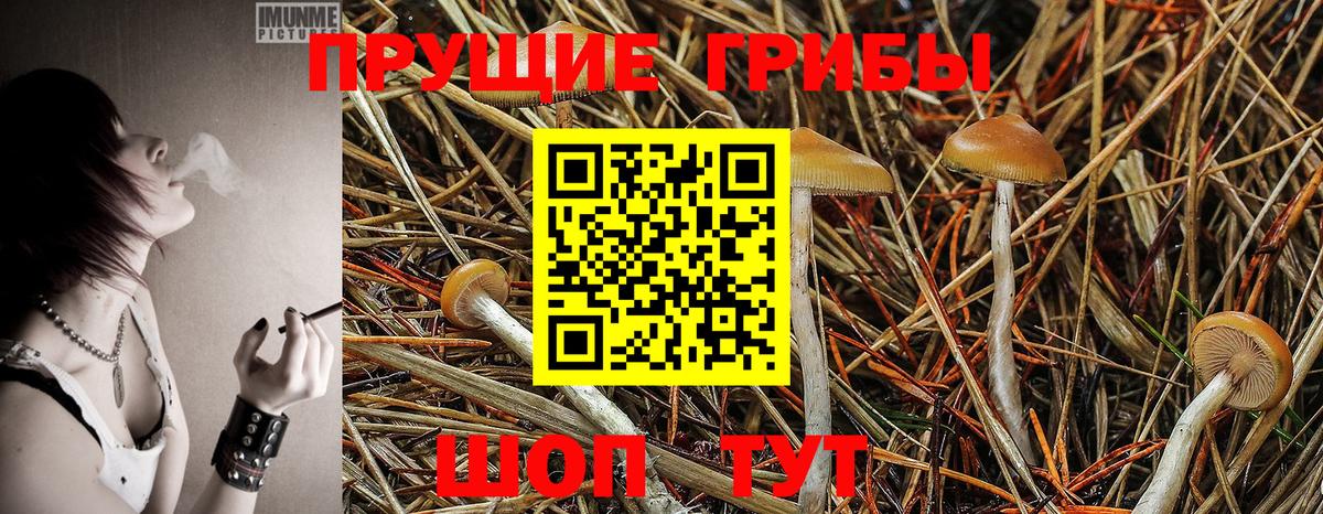 как найти закладки  Псилоцибиновые грибы Psilocybe  Вход с VPN  Галлюциногенные грибы мухоморы  Алушта 